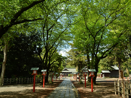 Washinomiya Shrine Approach