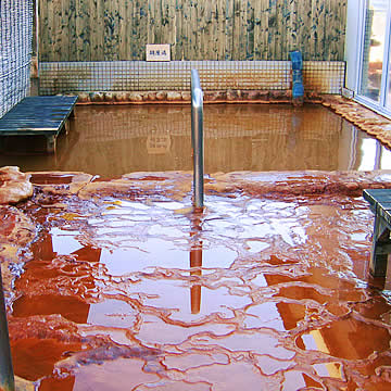 Hakujunoyu open-air bath (Kozayu and floor)