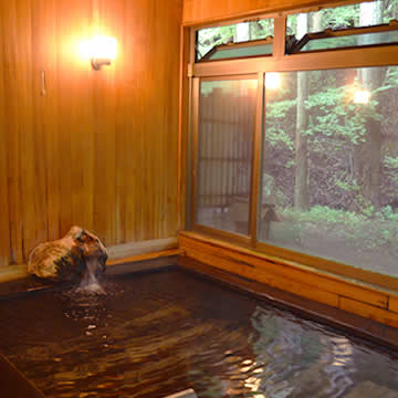 Nanasawa Onsen Motoyu Tamagawakan bathtub and hot water spout
