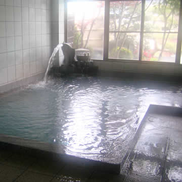 Hayabusa-onsen indoor bath