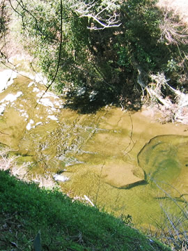 Senjunoyu, a river under the window