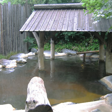 Shirakunoyu open-air bath