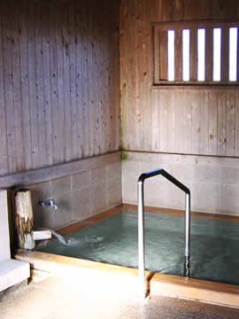 Hottarakashi-onsen This Bath indoor bath