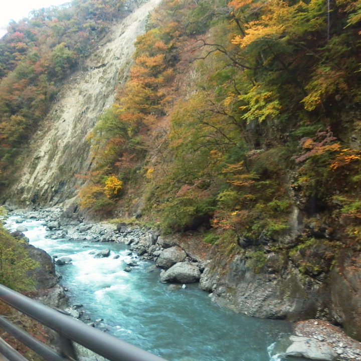 The view from the bus window