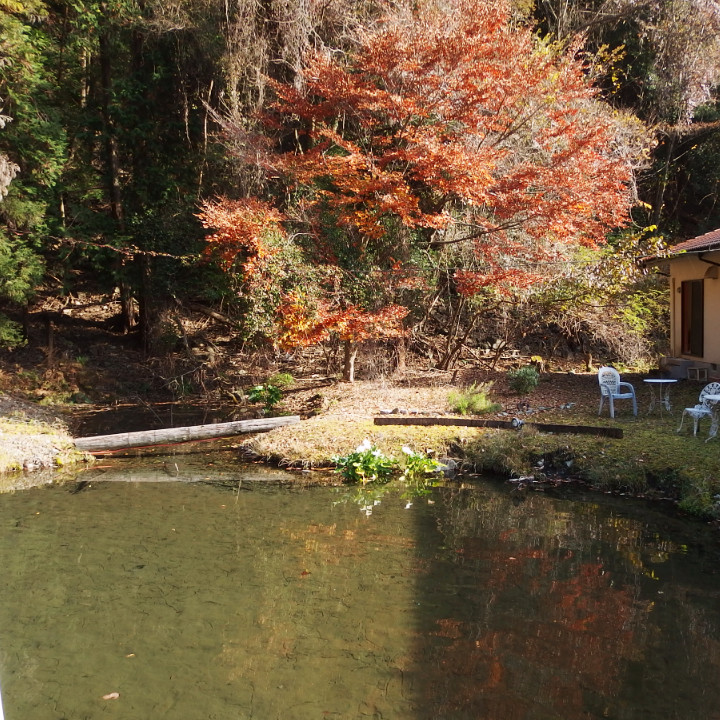 佐野川温泉庭の池