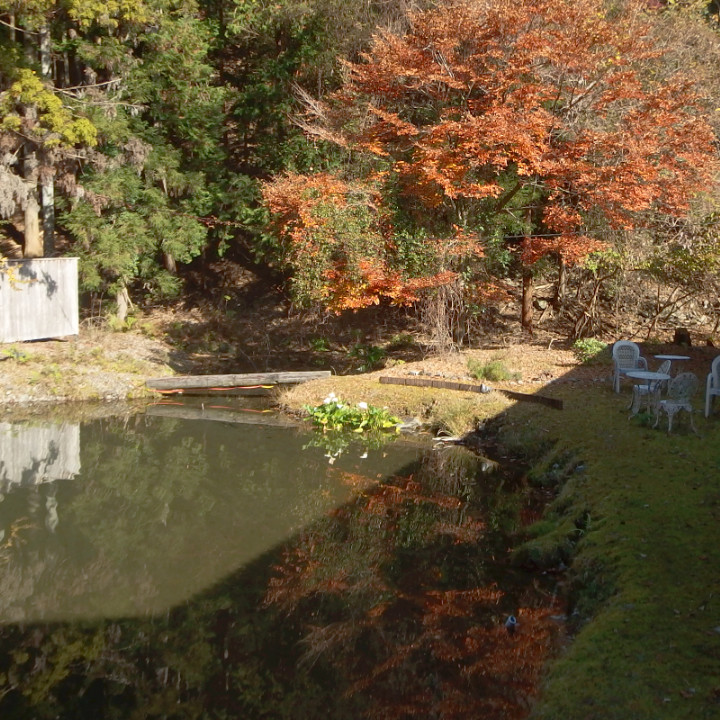 佐野川温泉庭の池