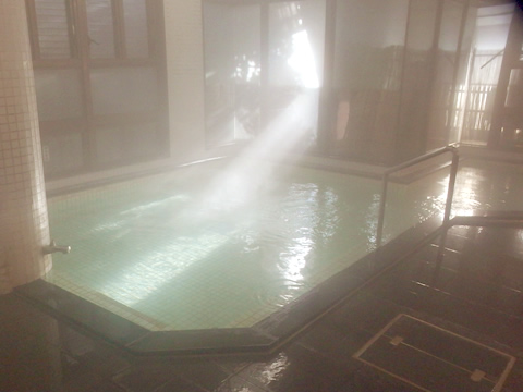 Yusen House Koyu indoor bath, Shimosuwa Onsen