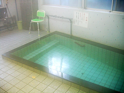 Ogawa Hoteinoyu bathtub, Ito Onsen